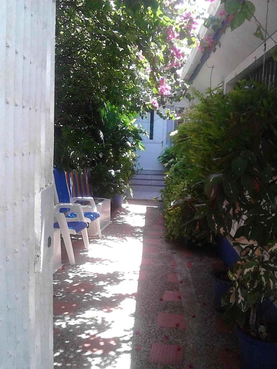 Vianova'S Place Posada Nativa San Andrés 外观 照片